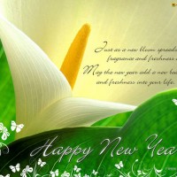 New Year Greetings Card 2