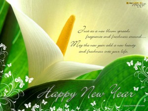 New Year Greetings Card 2