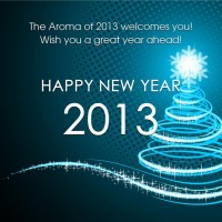 New Year Greeting Cards 2013 3
