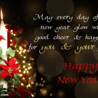 New Year Greeting Cards 2013 6