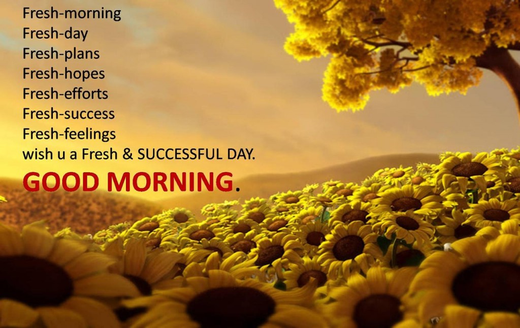 Fresh Morning Wishes 2014