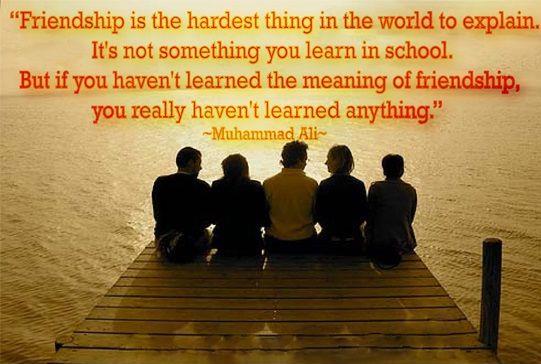 Hard to explain friendship, must learned friendship