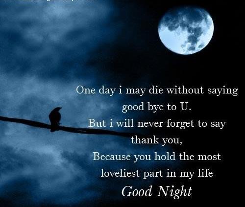 Saying Good Bye In Lonely Night 2014 Message