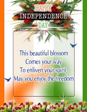 Enjoy Independence Day 2014 In India with Freedom