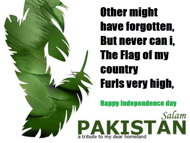 Salaam Pakistan a tribute to my dear homeland