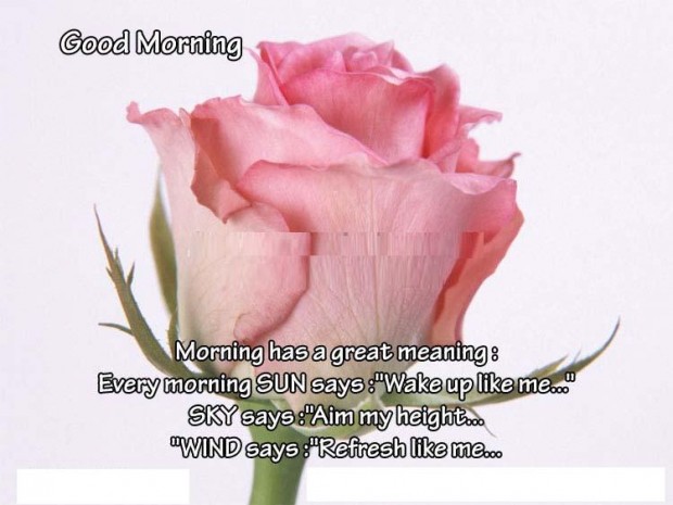 Great meanings of morning by nature.