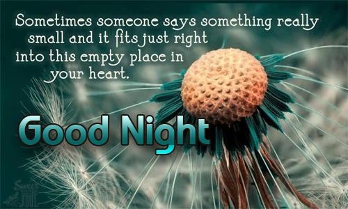 Good Night wish to fill your heart with happiness.