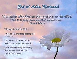 Eid Ul Azha Sms 8 Greetings
