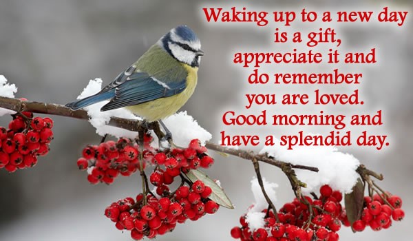 try to make this day splendid by waking up happy this morning