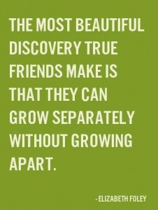True Friends 2014 Discovery