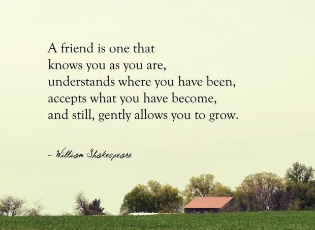 Friendship quotes to understand your friends.