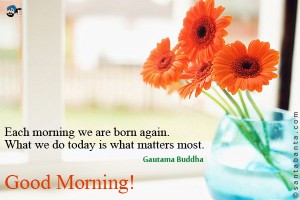 Morning Born Quotes